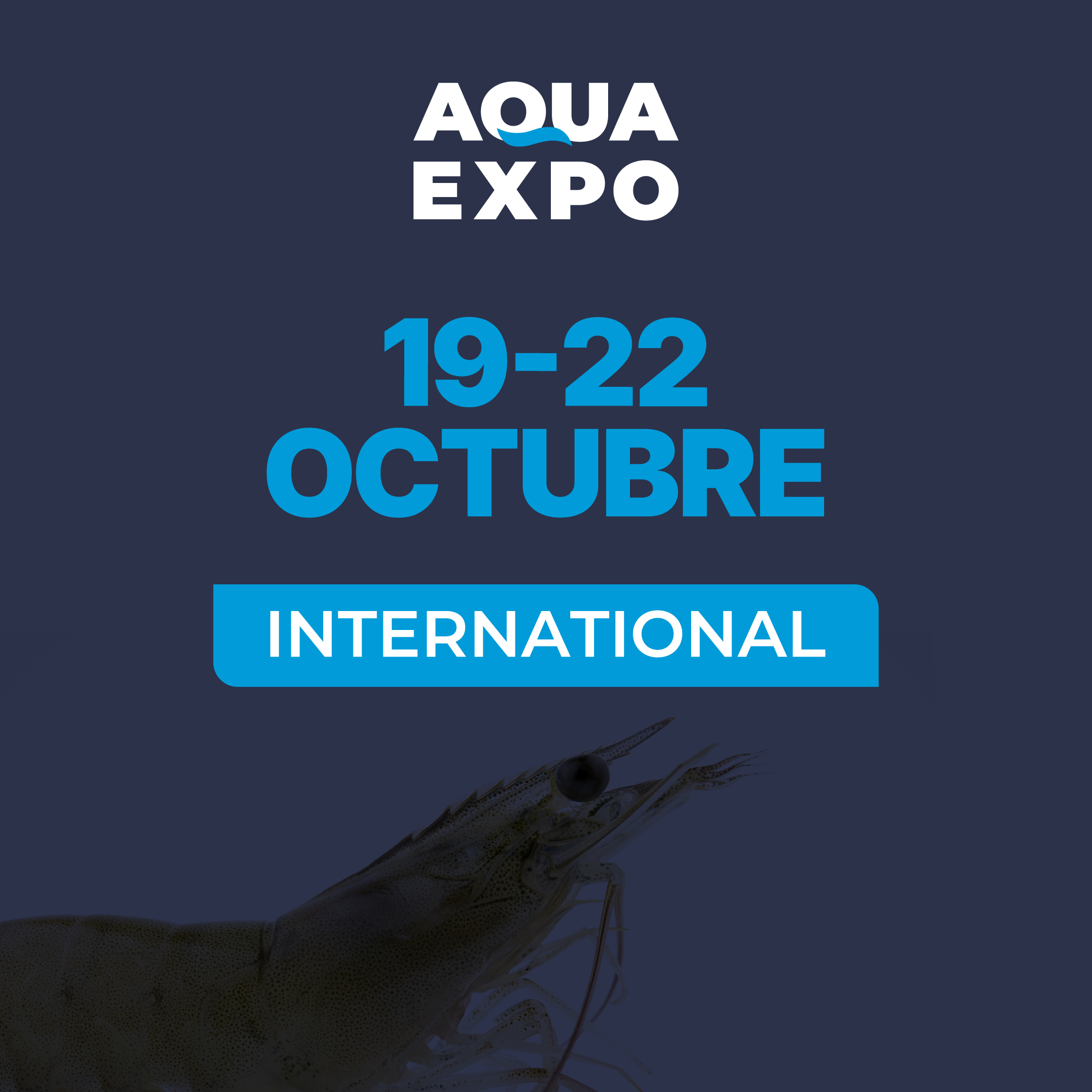 fechas_Mesa de trabajo 1