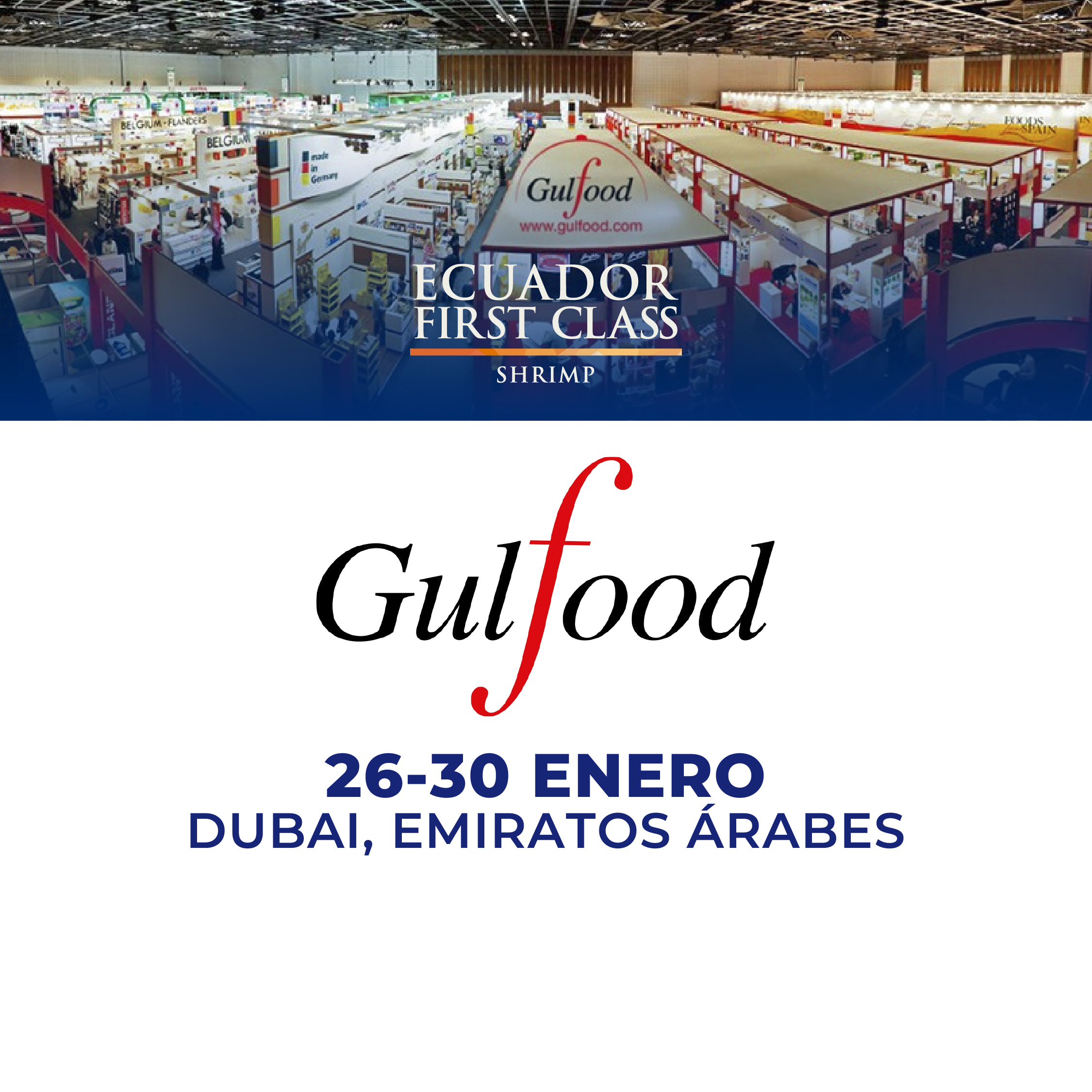 ferias internacionales 2026_Mesa de trabajo 1