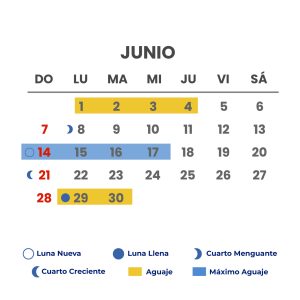 meses-06