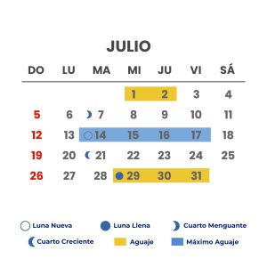 meses-07