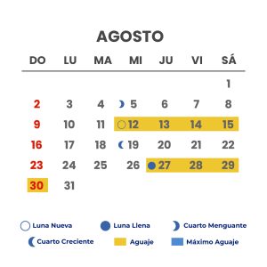 meses-08