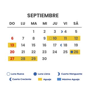 meses-09