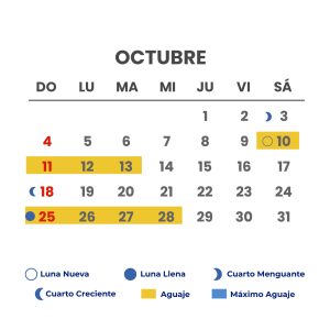 meses-10