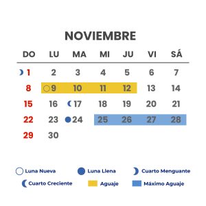 meses-11