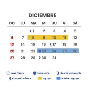 meses-12