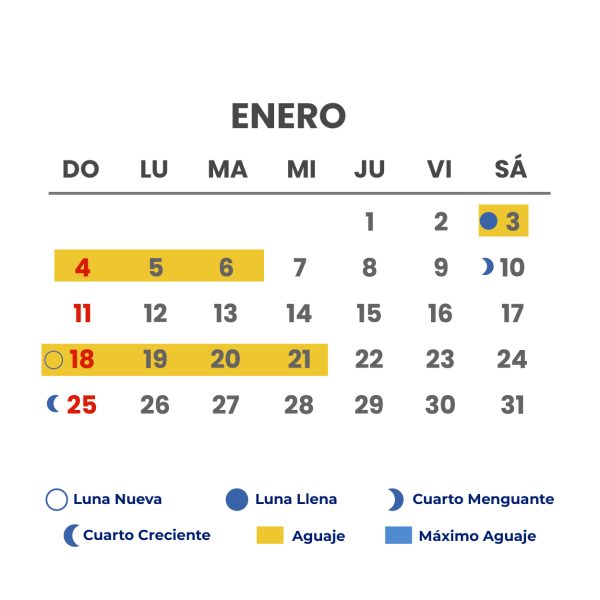 meses_Mesa de trabajo 1 meses_Mesa de trabajo 1