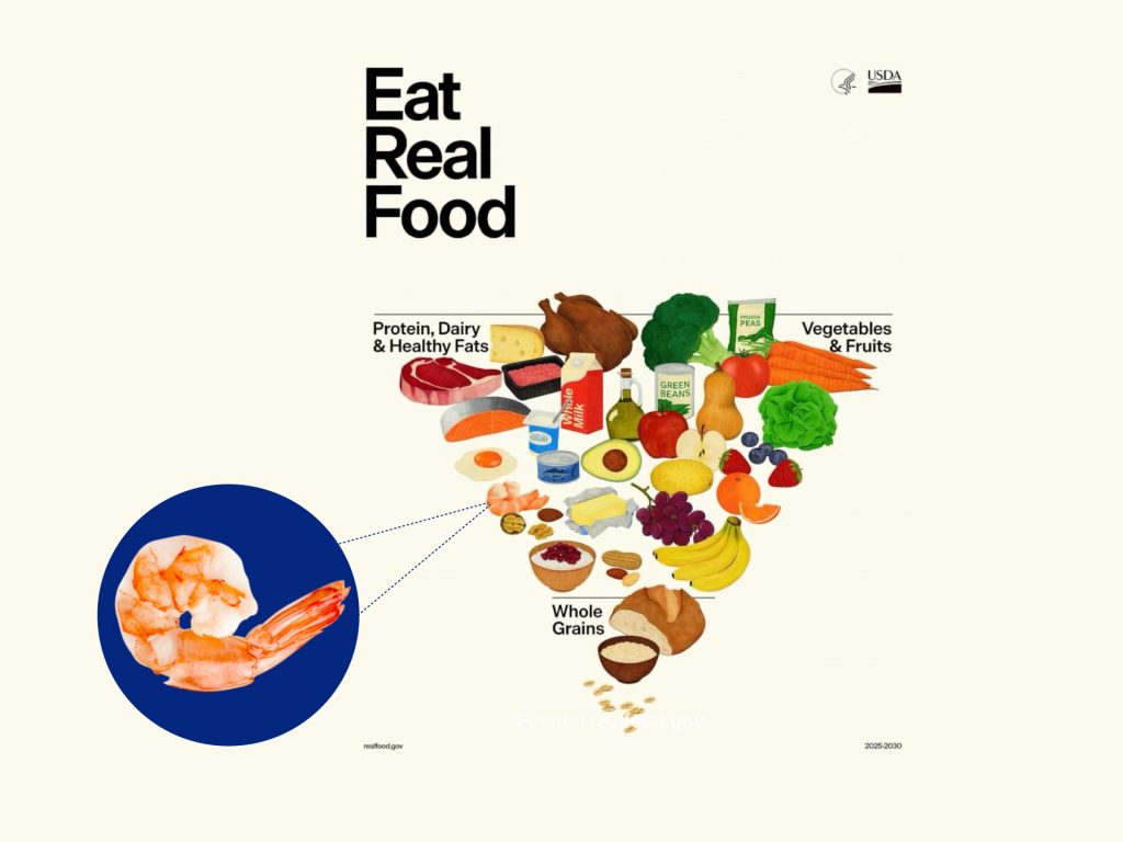 EL CAMARÓN: PROTEÍNA REAL SEGÚN RECIENTE PIRÁMIDE ALIMENTARIA DE ESTADOS UNIDOS