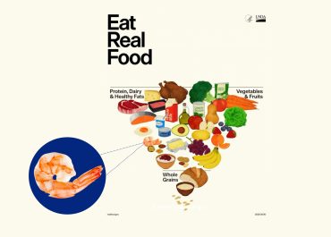 EL CAMARÓN: PROTEÍNA REAL  SEGÚN RECIENTE PIRÁMIDE ALIMENTARIA DE ESTADOS UNIDOS